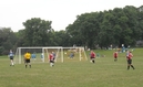 View Image 'Summer Iowa Games, Ames, IA...'